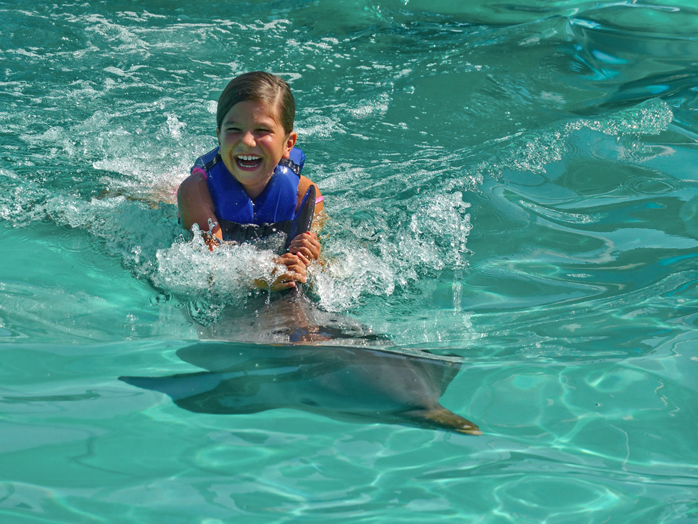 Waterland - Nado con Delfines VIP