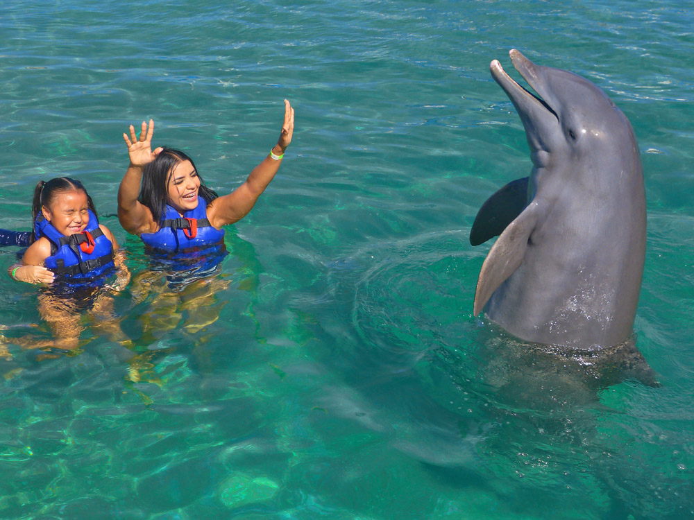 Waterland - Nado con Delfines