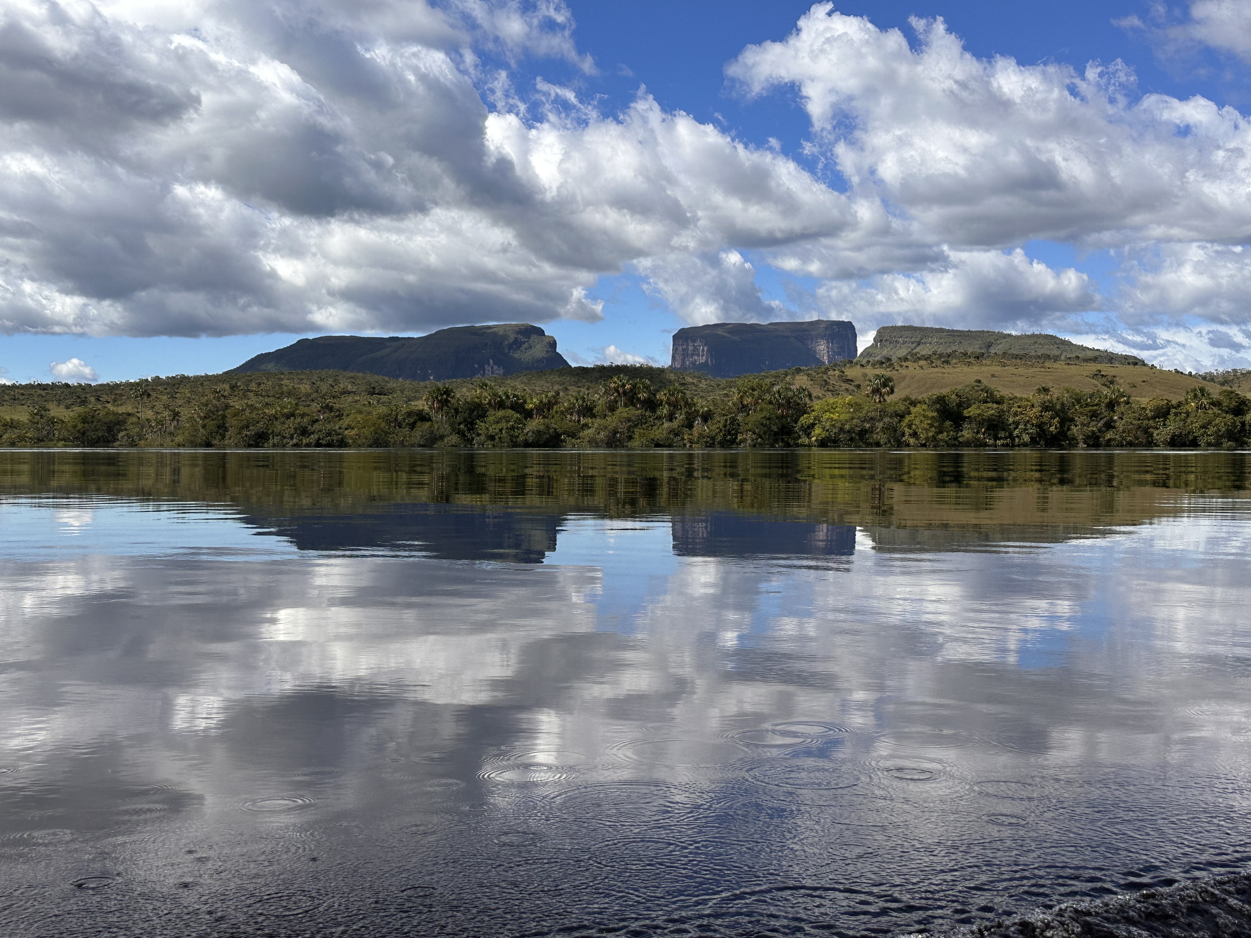 Canaima